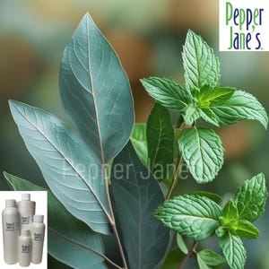 Eucalyptus & Spearmint Fragrance Oil: Candles, Soap, Lotion, Diffusers