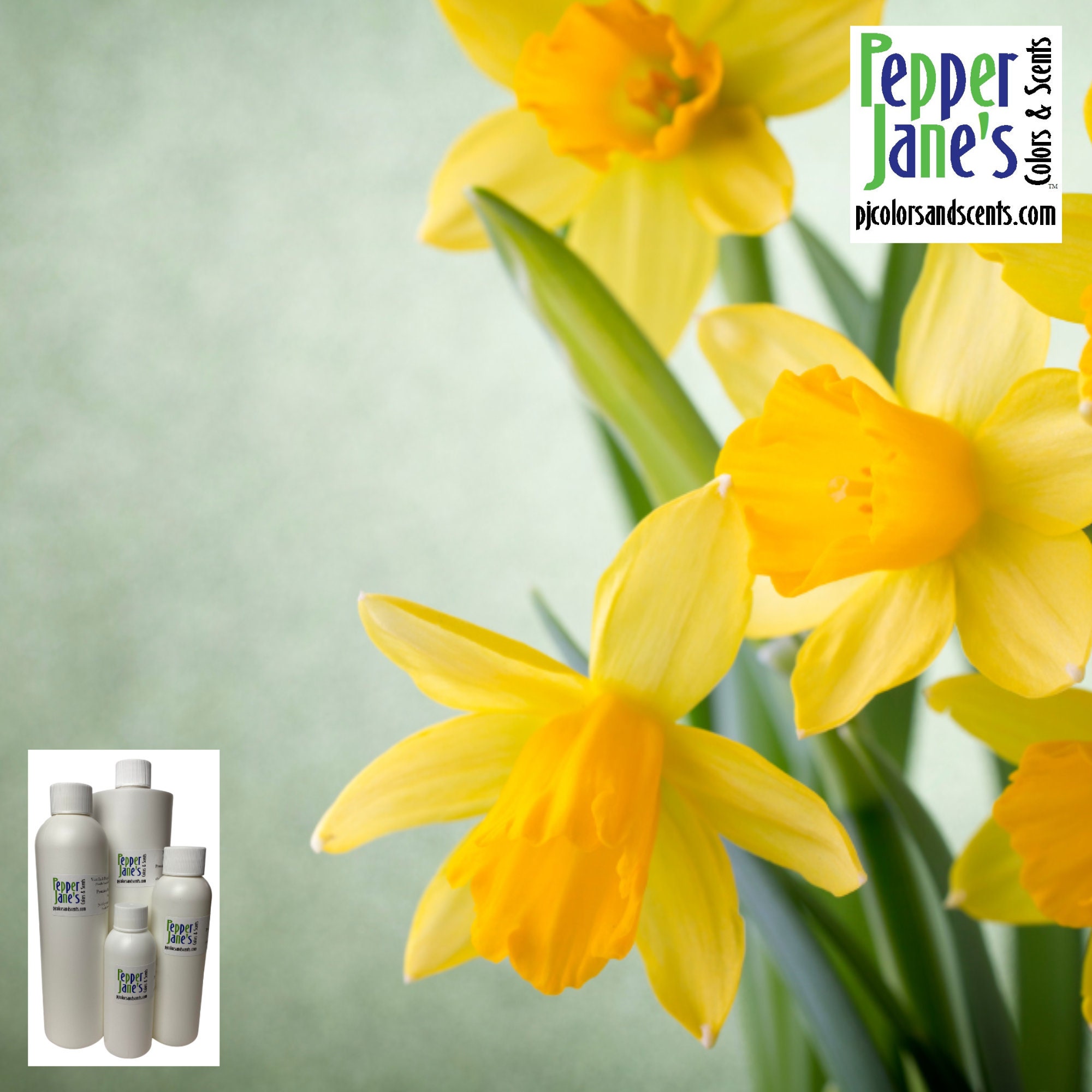 Golden Daffodil Fragrance Oils for Diffuser, Perfect for Candle Making,  Soaps, Bath Bombs, Slime, Wax Melts