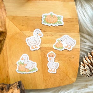 Op de afbeelding: Een verzameling stickers met cartoon eenden en pompoenen. De eenden zijn wit met oranje snavels en poten. De pompoenen zijn oranje met groene bladeren. De stickers zijn gerangschikt op een houten oppervlak met oranje stiften en dennenappels.
