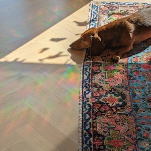 Puede incluir: Un perro salchicha marr&oacute;n tumbado en una alfombra de estampado colorido con una luz arco&iacute;ris reflejada en el suelo de madera.