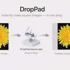 May include: Diagram showing the DropPad app, which instantly creates square images. A yellow dandelion flower on a black background is transformed into a padded square. The app's name and website address are also displayed in the image.