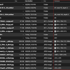 May include: A screenshot of a file directory on a computer. The directory displays file names, sizes, modification dates, file types, and comments. The files include folders and various image formats, such as JPEG and AVIF.