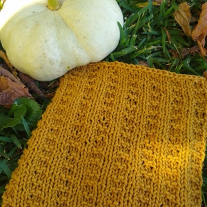 Genesis Dishcloth