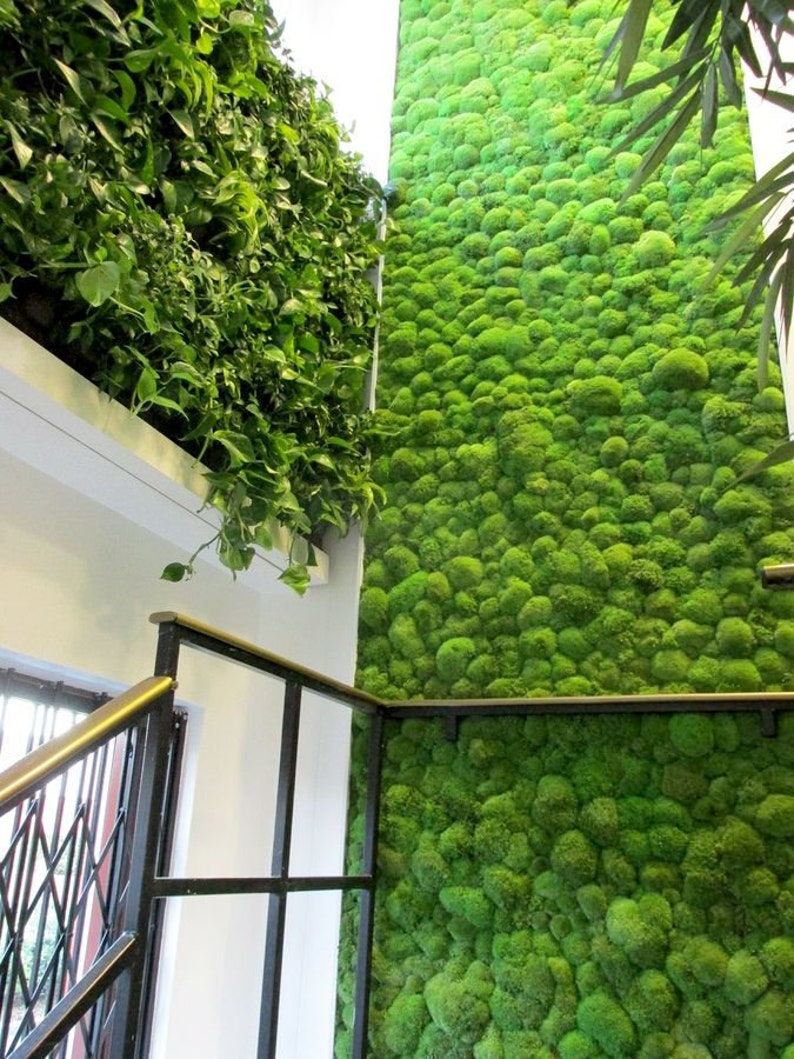 Learn How to Design Moss Wall Art Tutorial Video Moss Wall Etsy UK