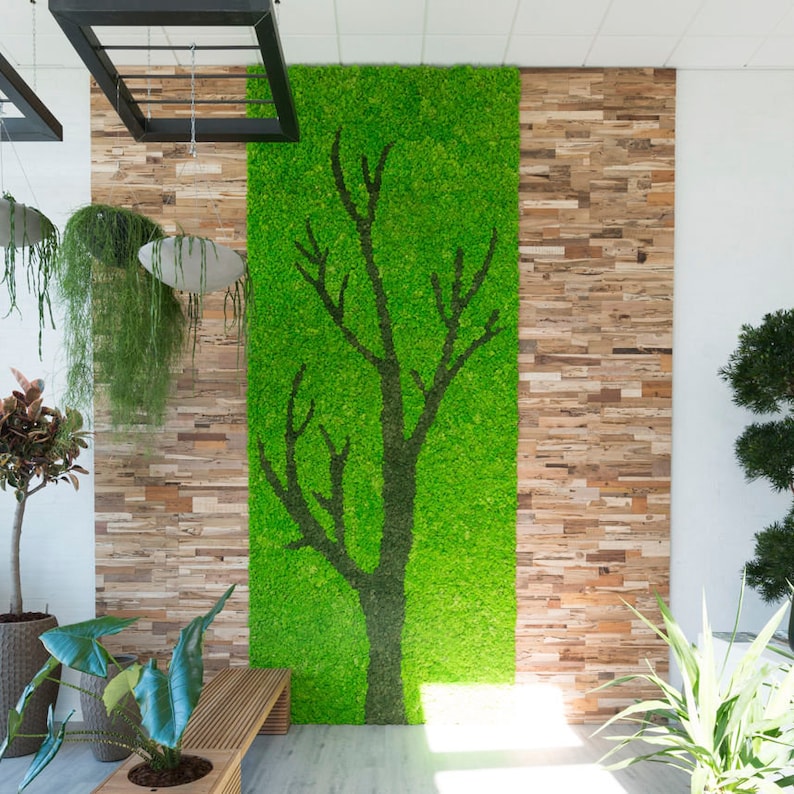 Learn How to Design Moss Wall Art Tutorial Video Moss Wall Etsy UK