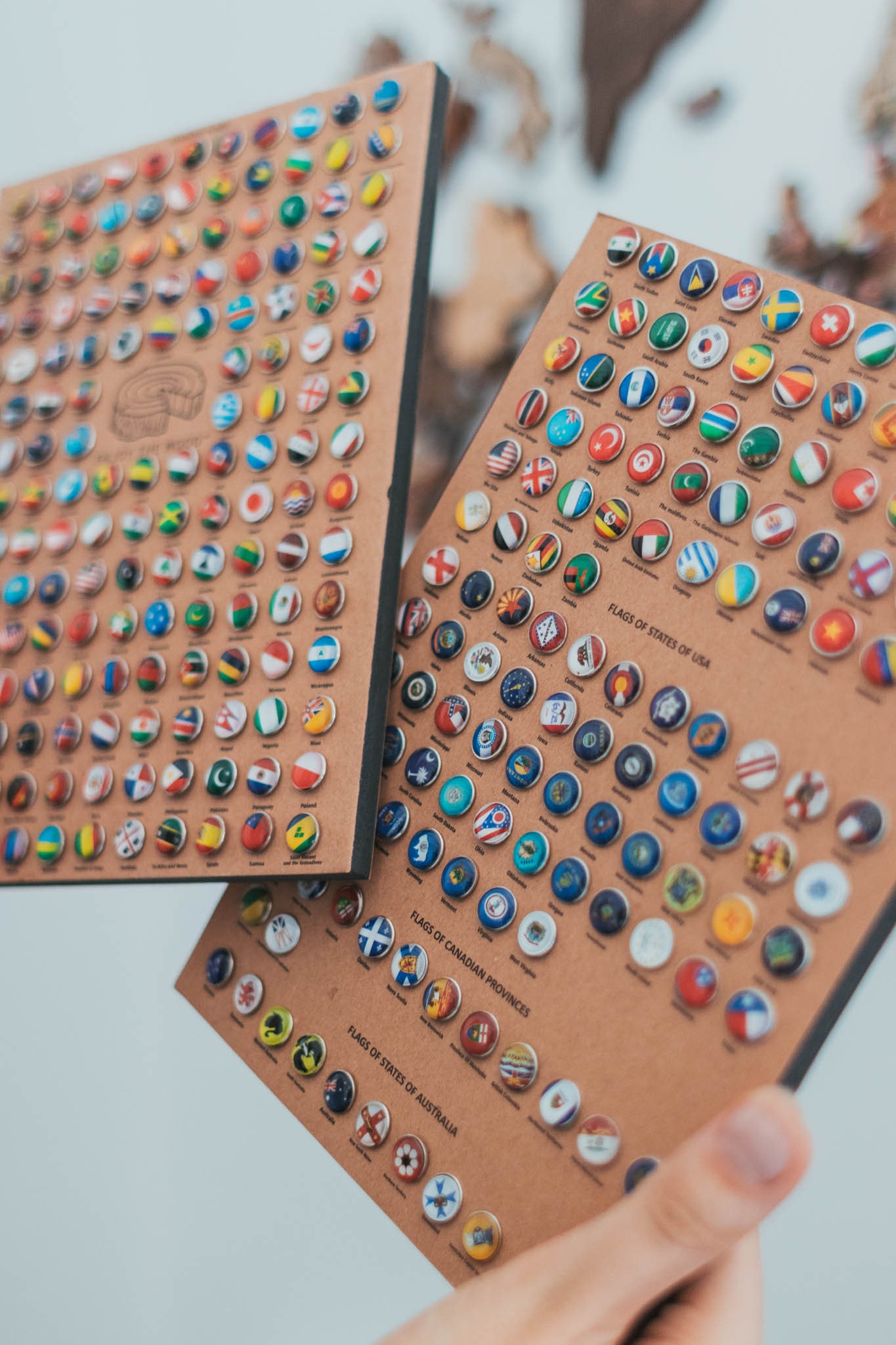 Carte 3D Épingles de Pays | Destinations La Carte Du Monde