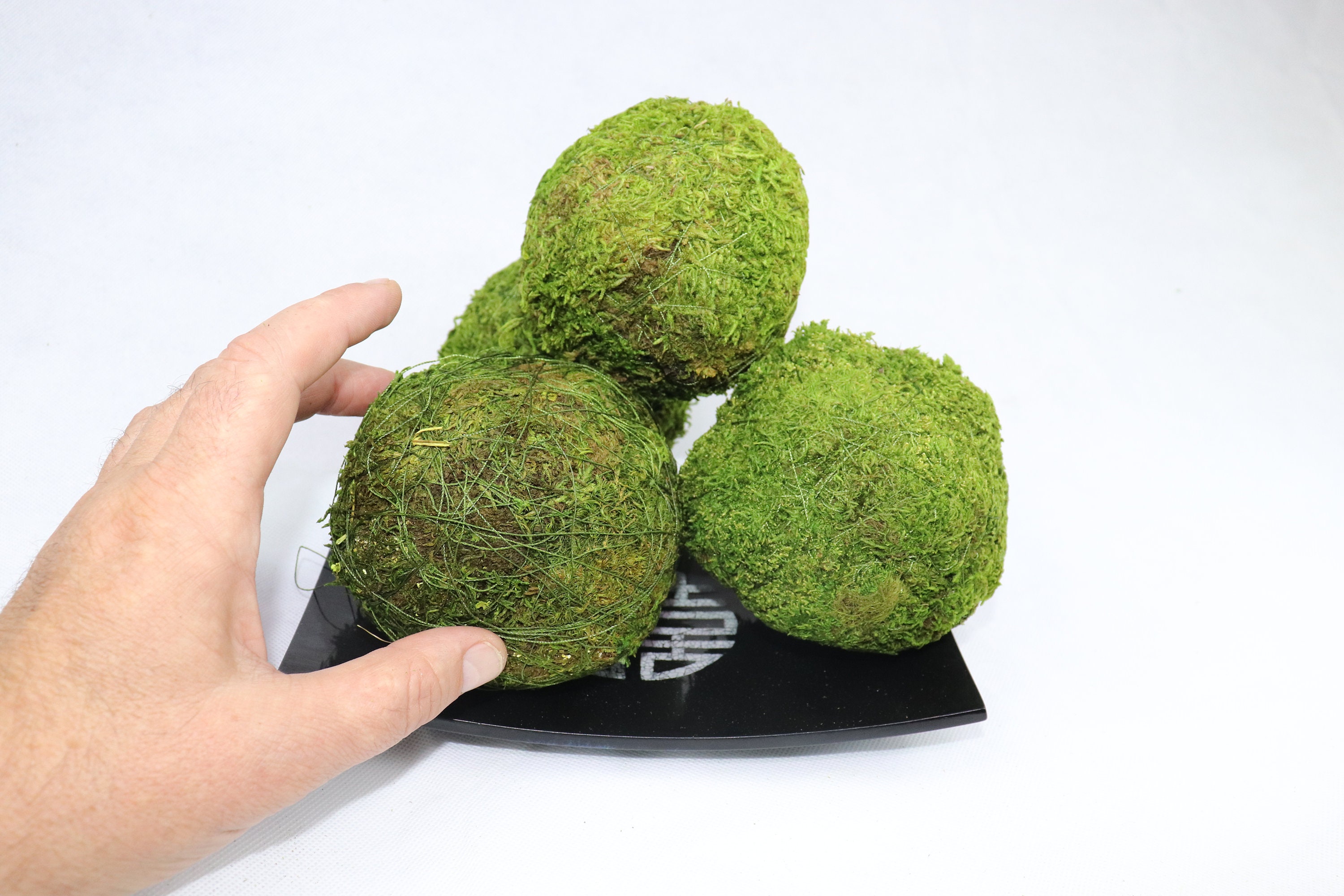 Small Moss Balls PACK OF 4 810cm Etsy