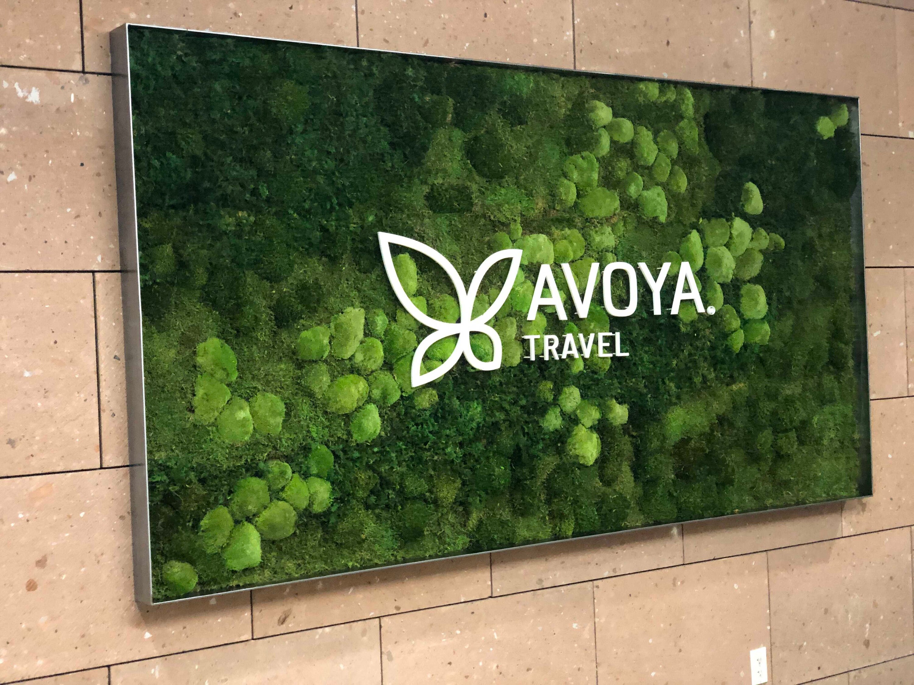 Moss Art Frame Video How to Make a Moss Frame Explained Etsy UK