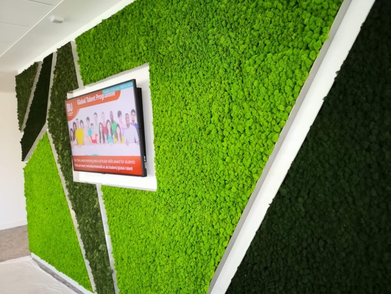 Moss Art Frame Video How to Make a Moss Frame Explained Etsy UK