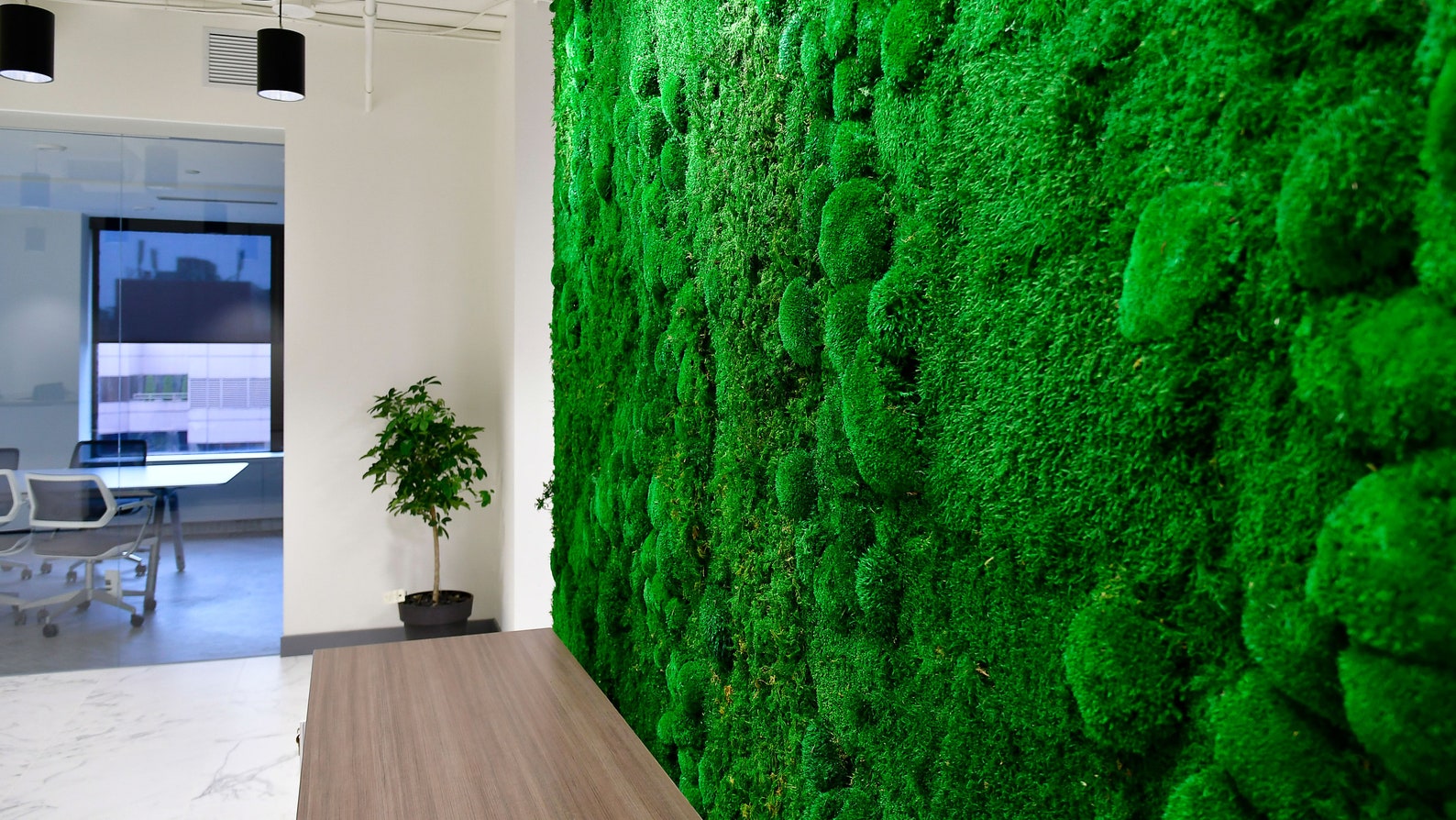 Hand Made Moss Panels for A Moss Wall FLAT MOSS VERSION Etsy
