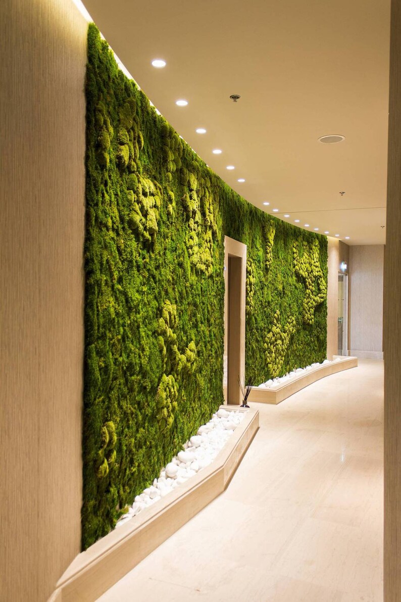 Moss Art Frame Video How to Make a Moss Frame Explained Etsy UK