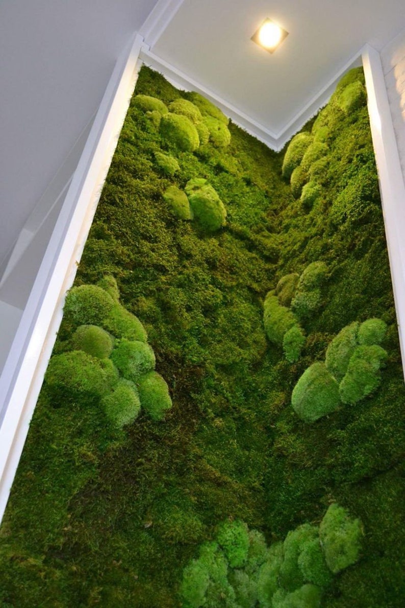 Learn How to Design Moss Wall Art Tutorial Video Moss Wall Etsy UK
