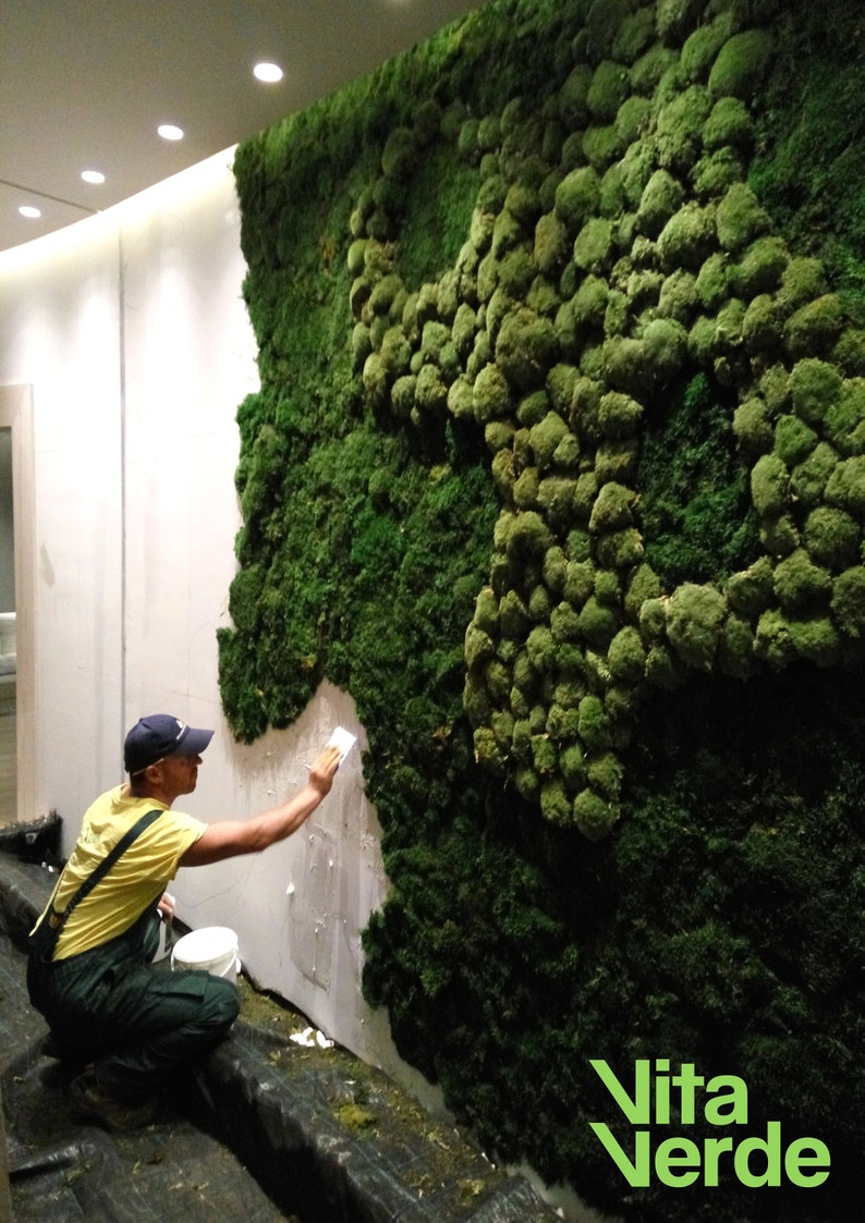 Learn How to Design Moss Wall Art Tutorial Video Moss Wall Etsy UK