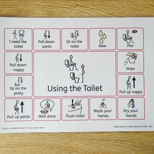 May include: A white chart with red borders and black illustrations detailing toilet use. Text includes "I need the toilet," "Pull down pants," and "Using the Toilet." The chart is designed for educational purposes.