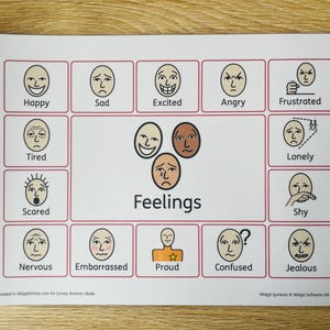 May include: A printed sheet displaying a grid of illustrated faces representing different emotions. The word "Feelings" is written below the faces. Emotions include happy, sad, excited, angry, frustrated, tired, scared, lonely, shy, nervous, embarrassed, proud, confused, and jealous.