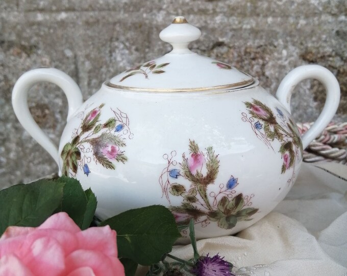 Antique French hand painted moss rose design sucrier sugar bowl with lid and handles