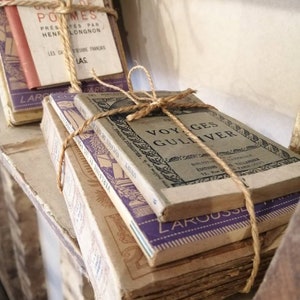Antique and vintage French book bundles for display