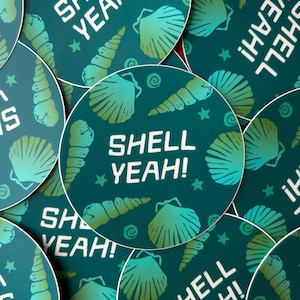 May include: Circular stickers with a teal background featuring seashell illustrations and the phrase "SHELL YEAH!" in white. The design includes various shell shapes and small star accents.