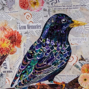 Starling fine art collage print
