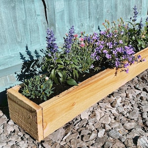 May include: A wooden planter box filled with purple and pink flowers. The planter is sitting on a bed of grey gravel.