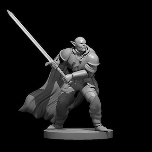 Half-Orc Male Paladin - 3D Printed Miniature for Tabletop RPG