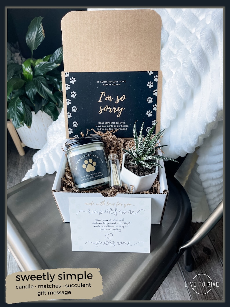 May include: A white gift box with a black card that says "I'm so sorry" with paw prints. The box contains a candle, matches, and a succulent plant. The card also says "made with love for you..." and has space for a recipient's name and sender's name.