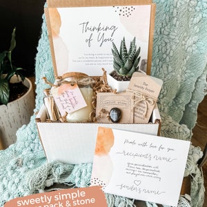 Thinking of You Care Package Care Package for Her Live Succulent Soy ...