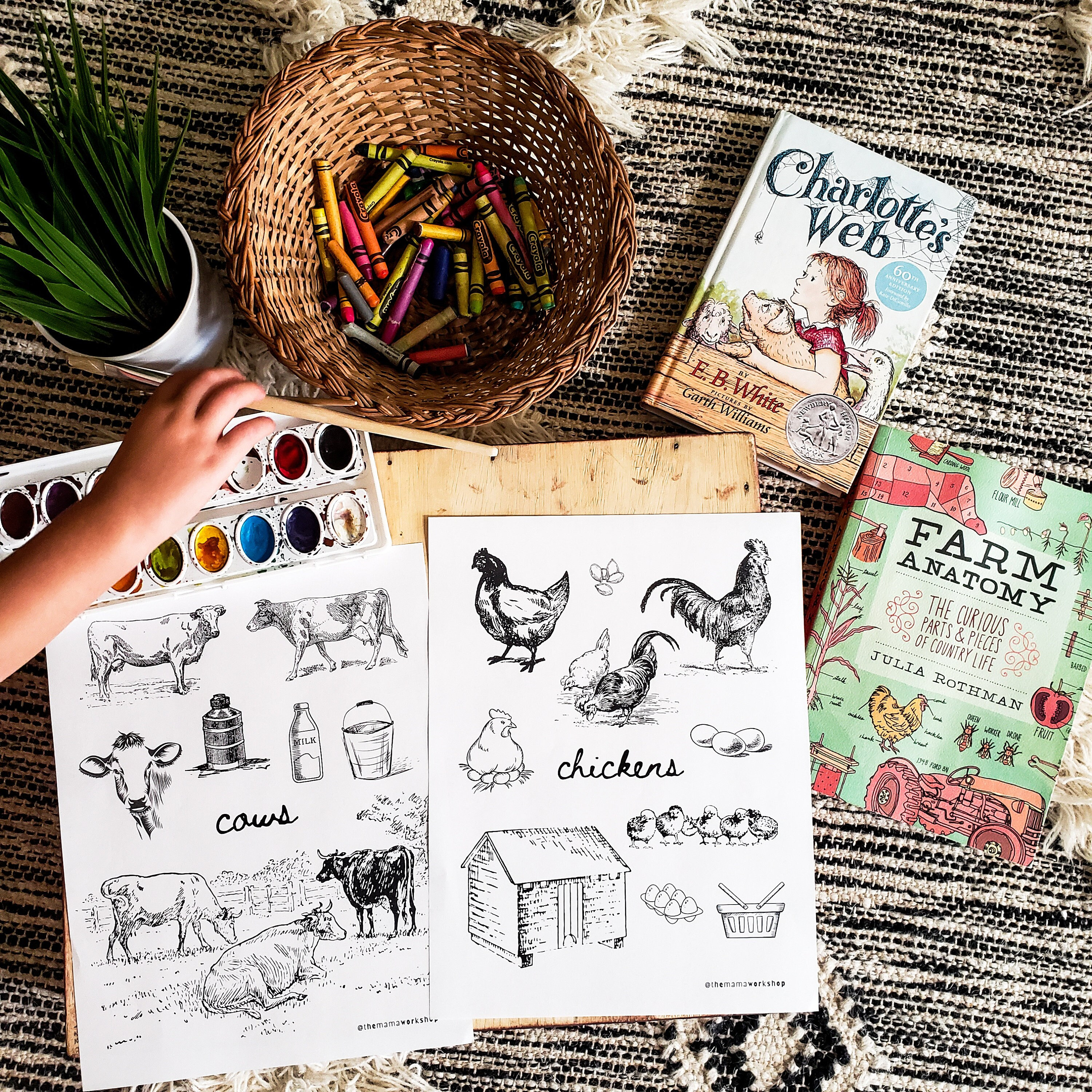 Imprimibles de La telaraña de Carlota, arte de libros clásicos, lecciones  de La telaraña de Carlota, actividades literarias para niños, educación en  el hogar, descarga instantánea - Etsy México, image size:3000x3000