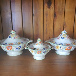 Vintage Masons Patent Ironstone Bible Pattern Serving Tureens. Large and small.