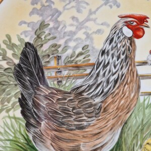 Graffiti Art Bull Decorative Plate – 10 Inch, Bone China, With Display Stand – Wall Or Tabletop Ceramic Art Decor