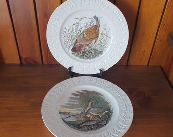Vintage plates, showing Birds of America from original drawings by John James Audubon. Wild Turkey and Long Billed Curlew.