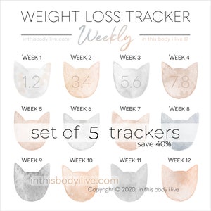 Weekly Weight Loss Trackers Set of 5 Cats Weight Loss Motivation Digital Download image 1