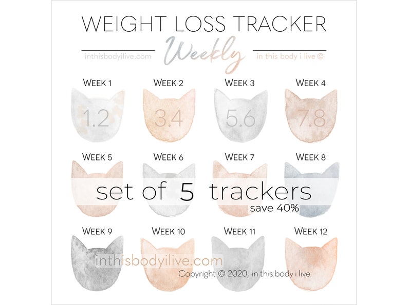 Weekly Weight Loss Trackers Set of 5 Cats Weight Loss Motivation Digital Download image 1