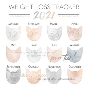 Weight Loss Tracker 2021 Instagram Weight Loss Tracker Etsy