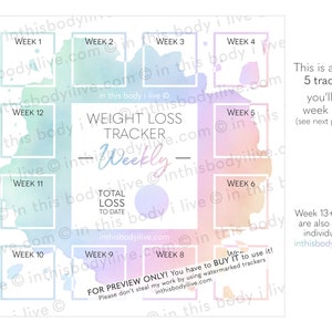 Weekly Weight Loss Trackers Set of 5 Goal Tracker Digital Download Rainbow Splash image 3