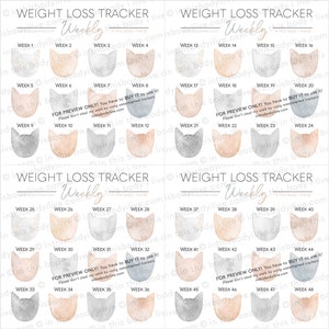 Weekly Weight Loss Trackers Set of 5 Cats Weight Loss Motivation Digital Download image 4