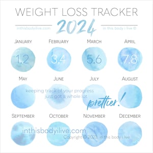 Weight Loss Tracker 2024 Weight Loss Journal Digital Download Blueberries image 1