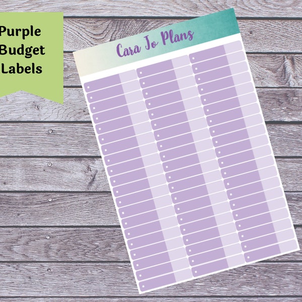 BUDGET STICKERS - Purple - Fits Erin Condren Monthly View