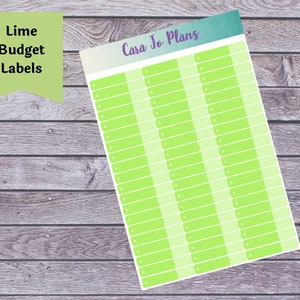 BUDGET STICKERS - Lime - Fits Erin Condren Monthly View