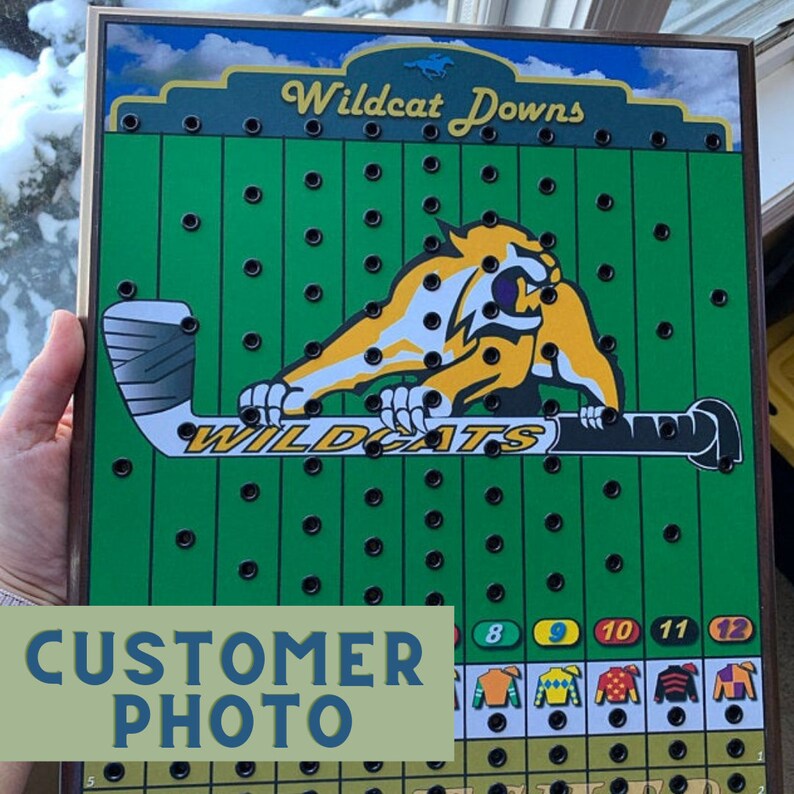May include: A green and yellow Wildcat Downs game board with a yellow wildcat mascot holding a hockey stick. The board has a grid of holes and numbers 8 through 12 at the bottom.