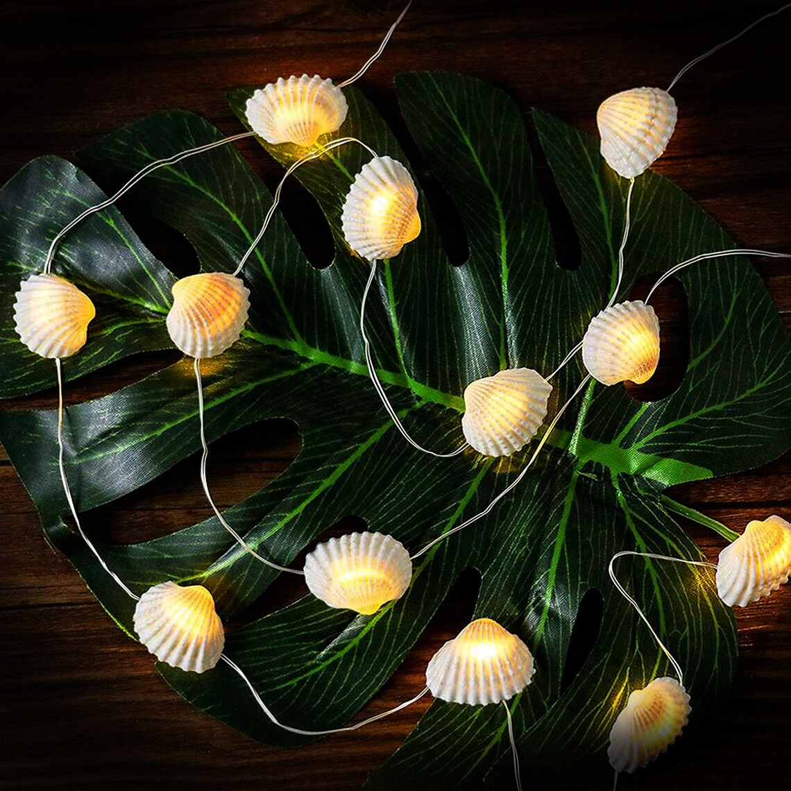 Cute Seashell String Lights Seashell Hanging String Lights Etsy