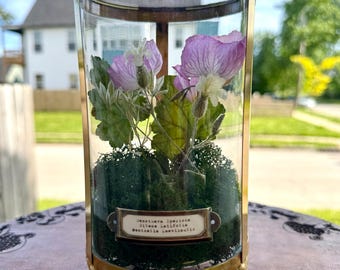 Dried Flowers — Colorful Preserved Flower