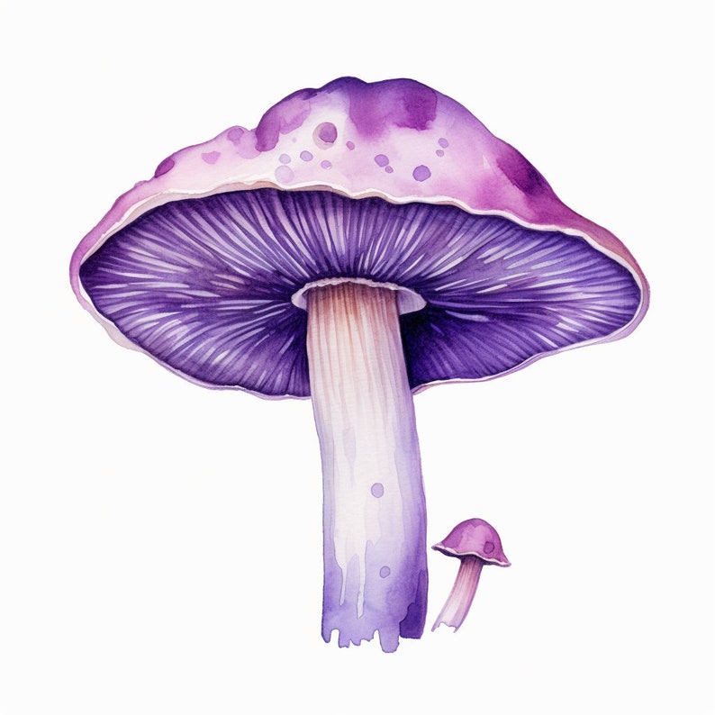 Preview image for 70 Watercolor Mushroom Clipart Digital Sticker Designs