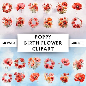 Clipart fleur de naissance coquelicot - Clipart fleur de naissance pavot - Bundle de cliparts coquelicots - Bundle de cliparts pavot - Clipart Bouquet de pavots - téléchargement