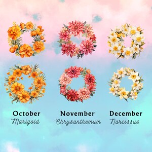 Watercolor Birth Month Flowers Clipart Bundle Birth Flowers Wreath Clipart Watercolor Floral Bundle Instant Download 24 Designs image 4