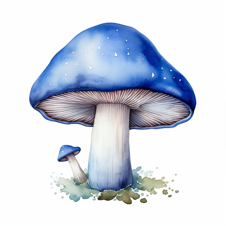 Preview image for 70 Watercolor Mushroom Clipart Digital Sticker Designs