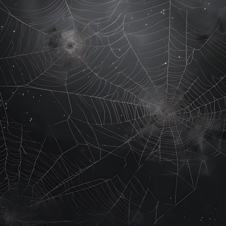 Preview image for 14 Spider Web Digital Design Papers