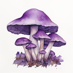 Preview image for 70 Watercolor Mushroom Clipart Digital Sticker Designs