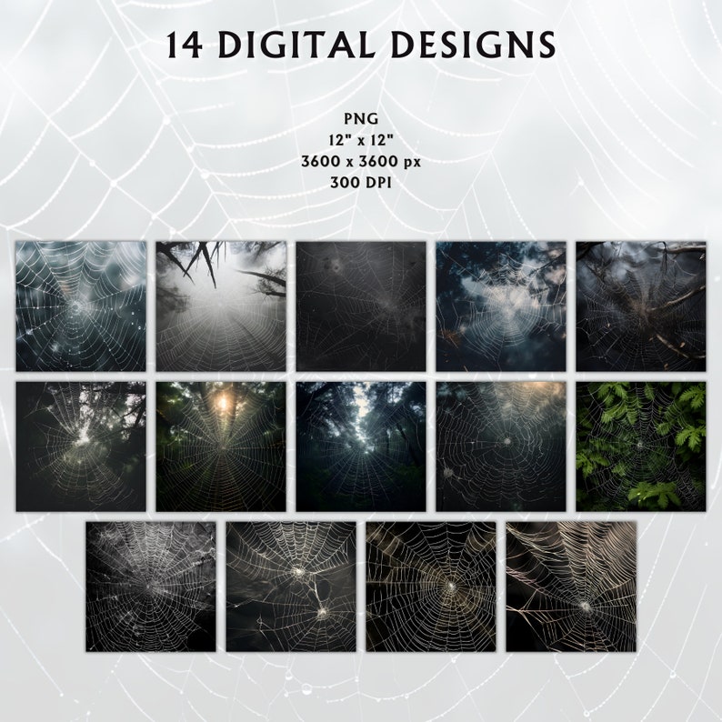 Preview image for 14 Spider Web Digital Design Papers