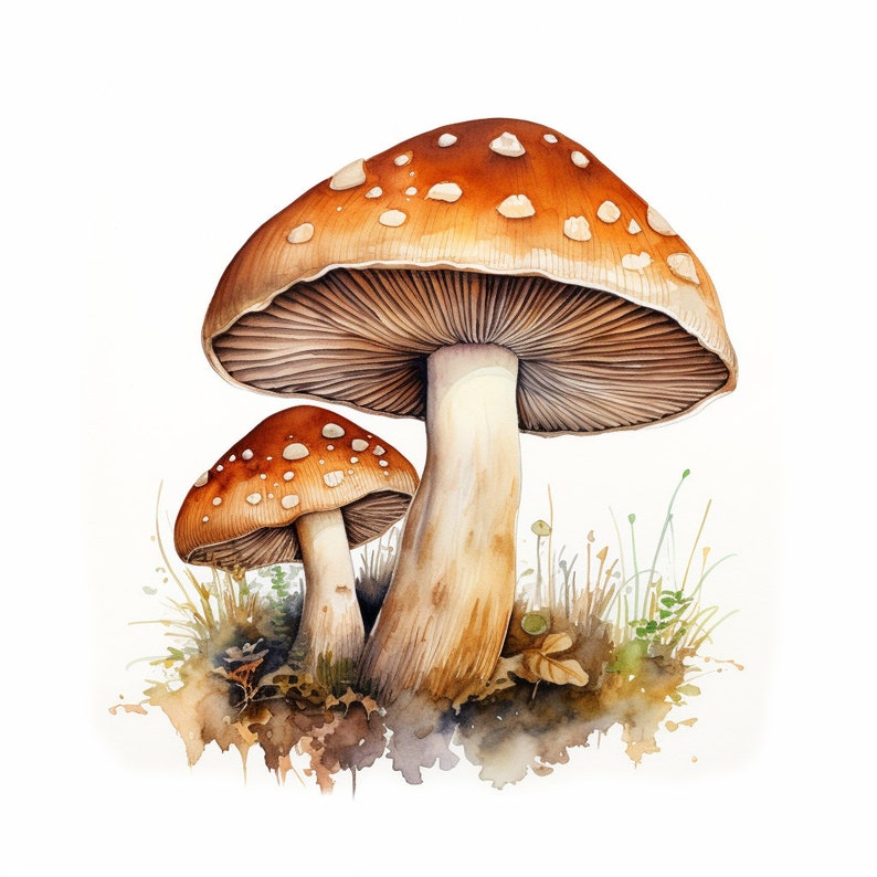 Preview image for 70 Watercolor Mushroom Clipart Digital Sticker Designs
